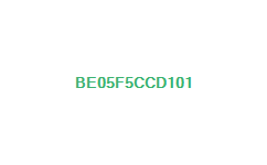 be05f5ccd101