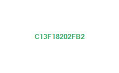 c13f18202fb2