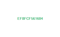 ef8fcf561604