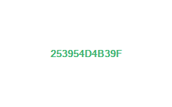 253954d4b39f
